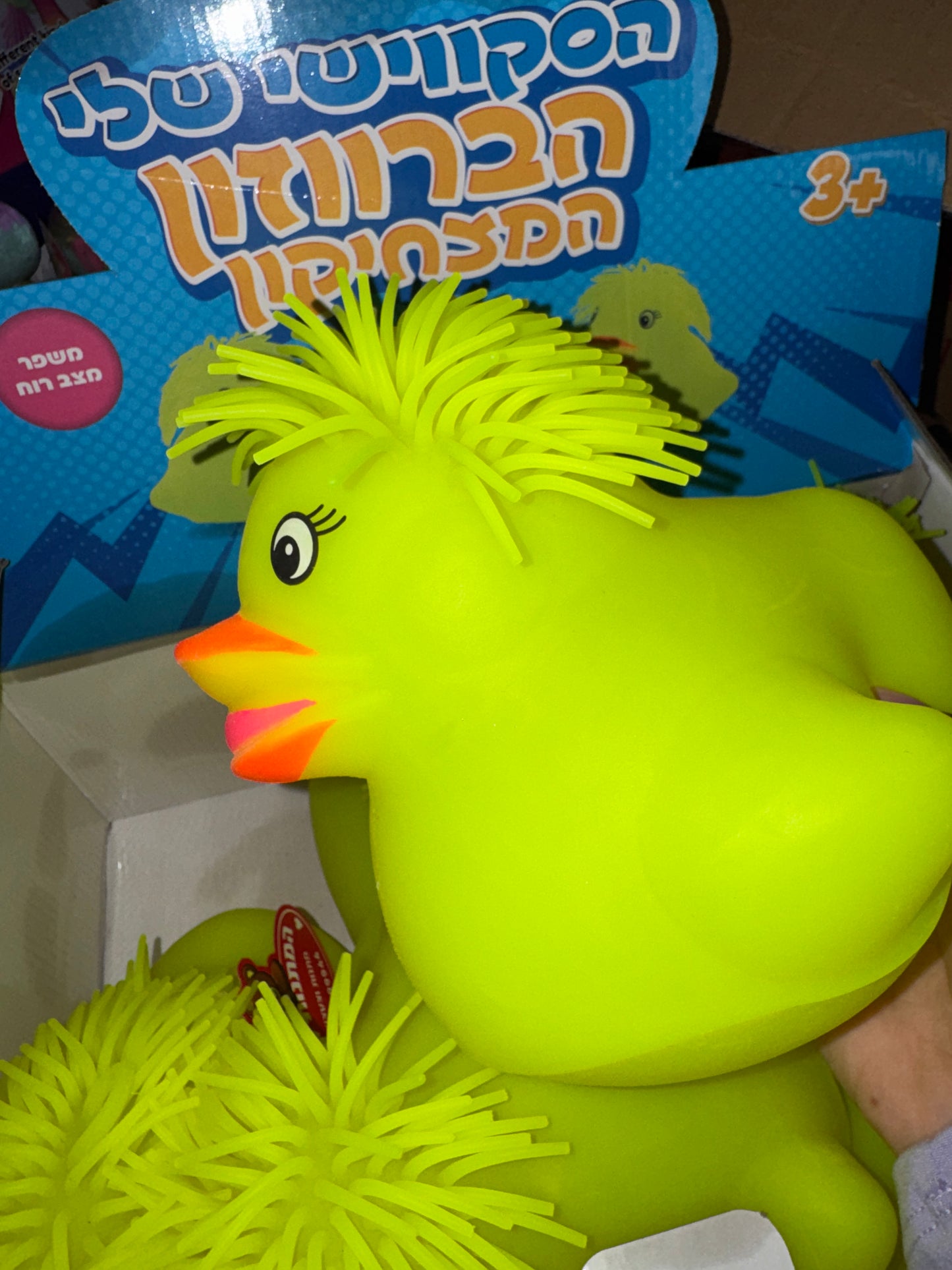 קיפודור! סקווישי ברווזון אוויר ואורות🐥