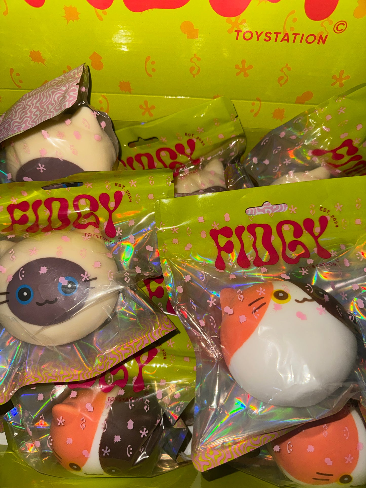 חתול נידו מים גדול!😸😻