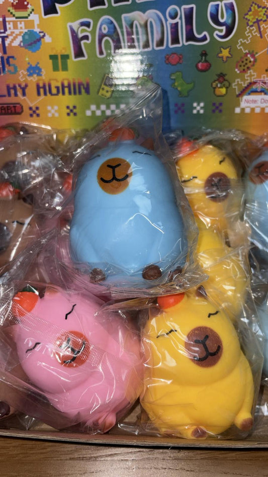 קפיברה עם תפוז על הראש נידו🤎🍊