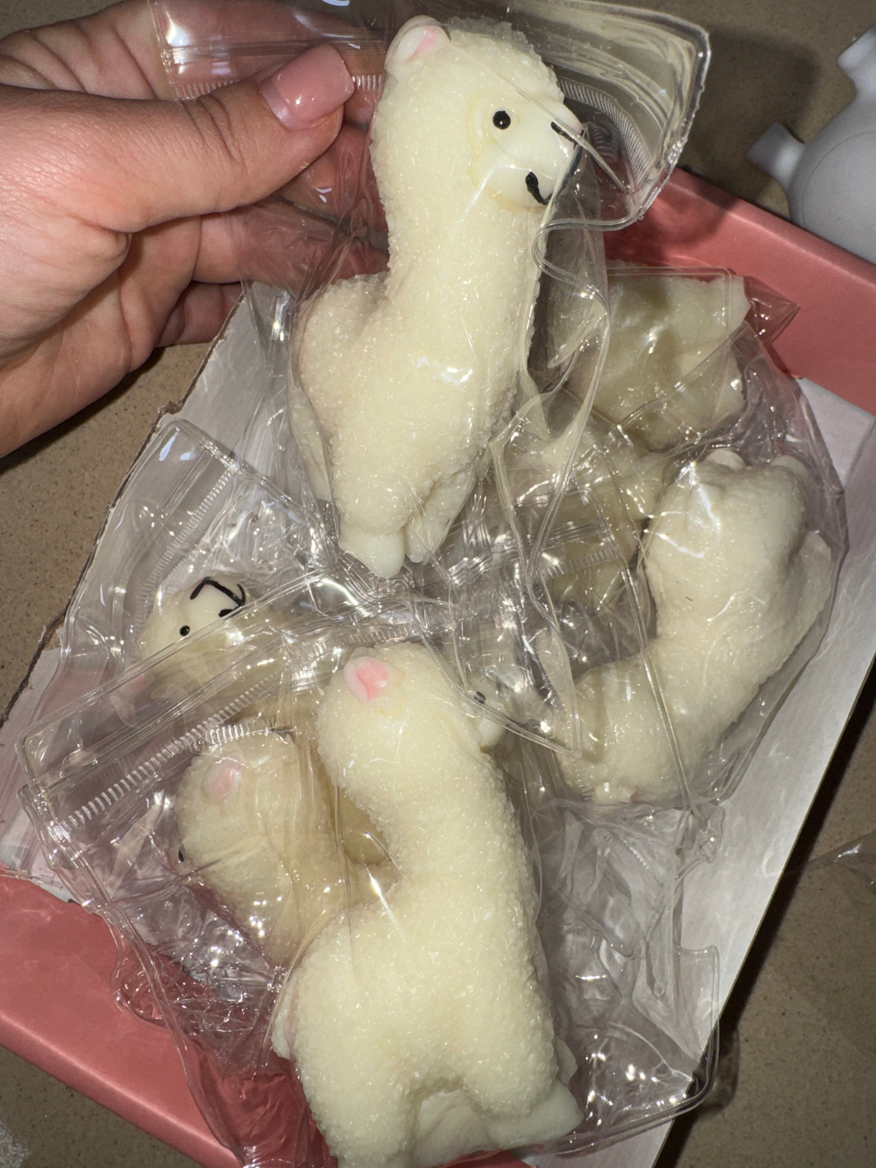 אלפקה טאבה סקווישי🦙