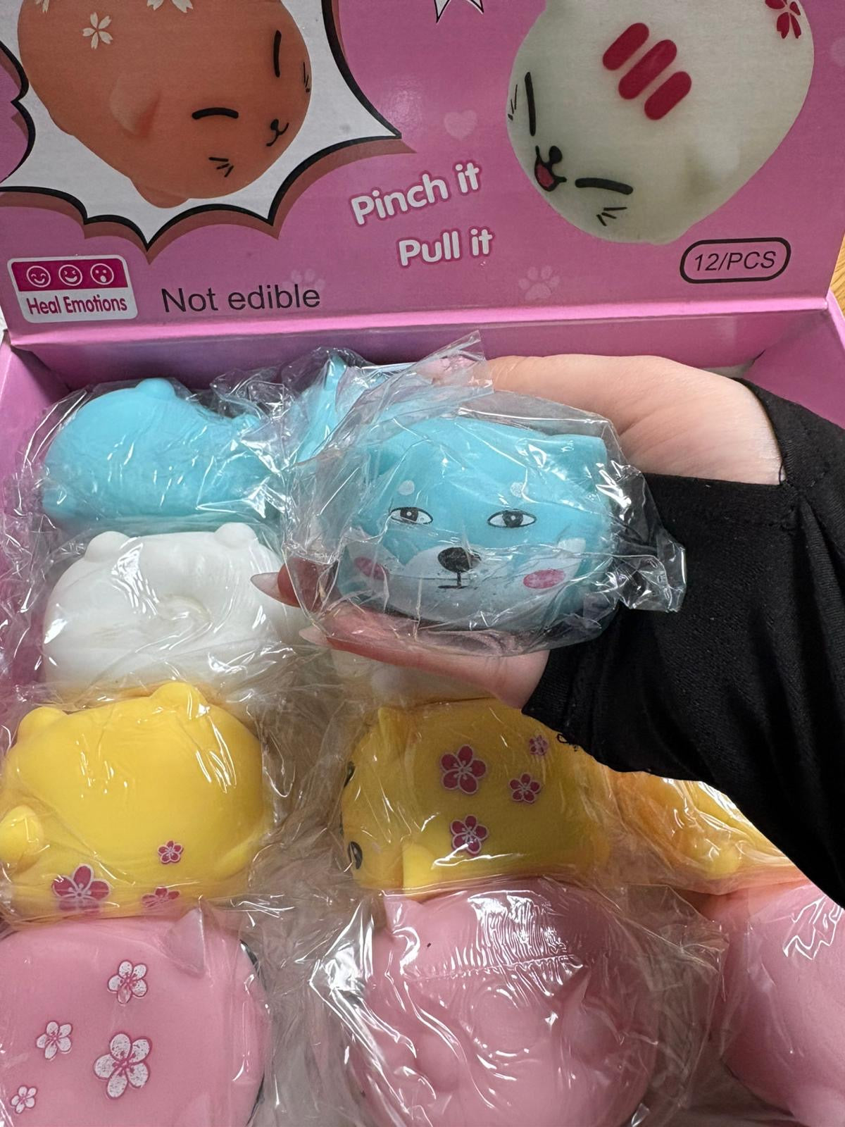 חיה אקראית נידו מים🌸😸