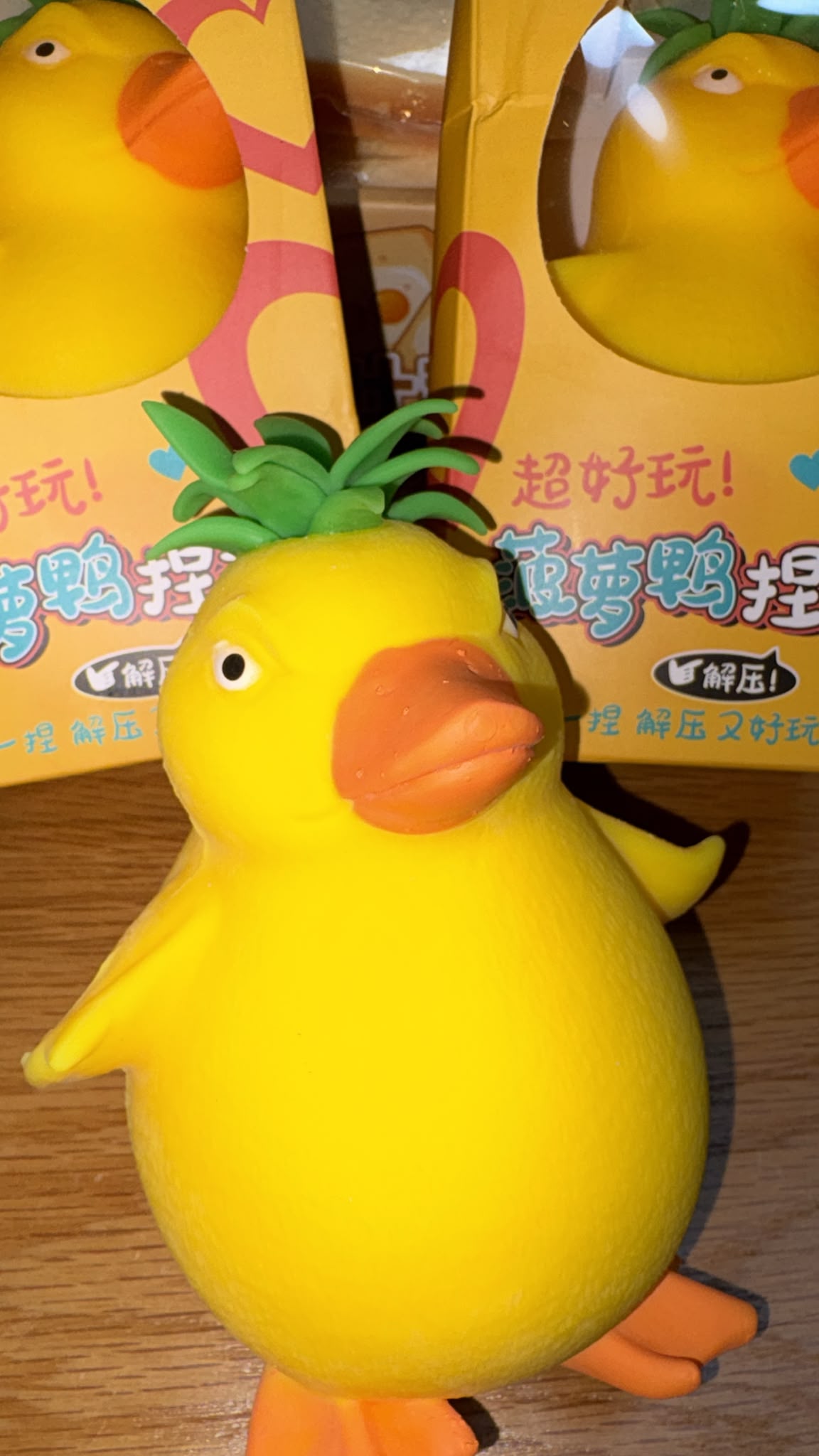 ברווז גדול!!! עם כרבולת אננס נידו🐥🍍