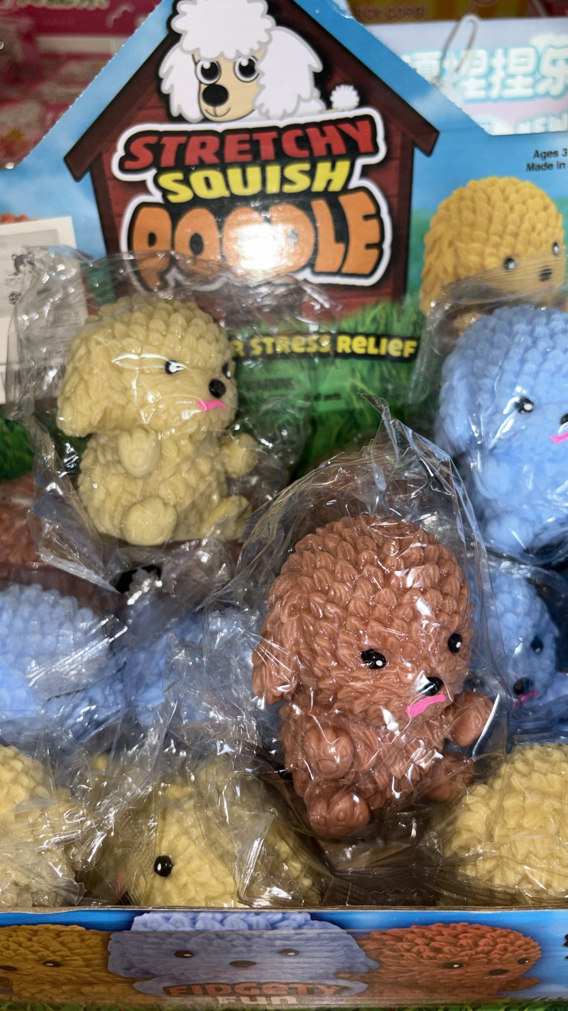 פודל נידו🐩